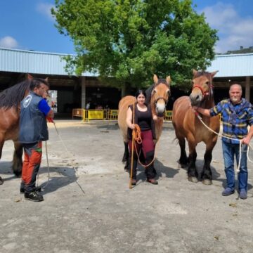 Éxito del I Certamen de Ganado Equino de Grau