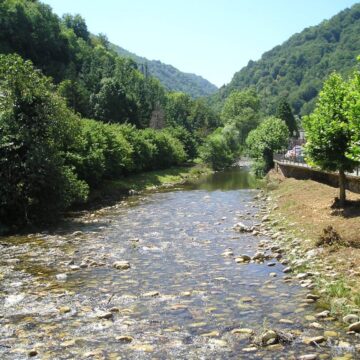 Jornada en la naturaleza para descubrir el río Pigüeña