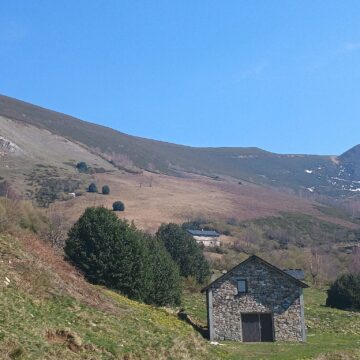 El Principado recupera 50 hectáreas de pastizales de Xichón y La L.linde, en Cangas del Narcea