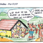La crisis de la vivienda, por FLYP