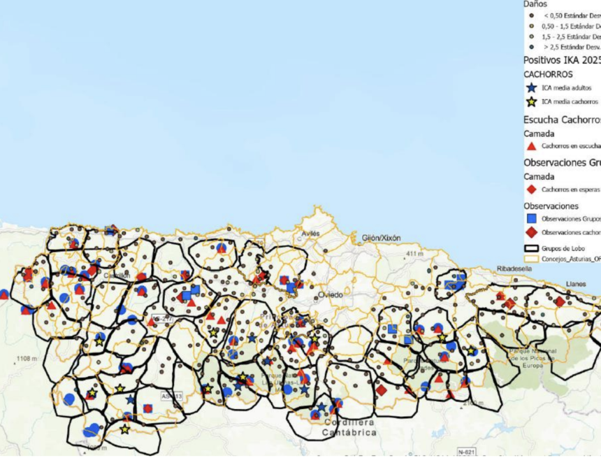 mapa poblacion. lobo 2025 Asturias defiende ante el Ministerio sus datos sobre la población de lobos