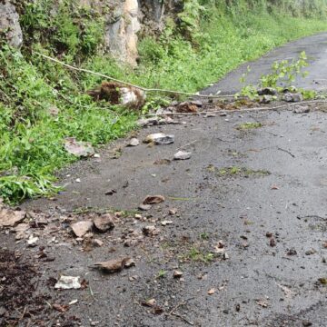 Argaya una roca en la carretera de Villar de Zuepos, en Belmonte