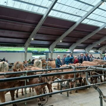 La Feria de la Cruz de Mayo en Cangas se celebra hoy sin ganado vacuno