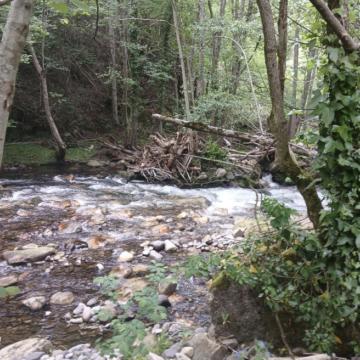 La Confederación Hidrográfica mejora la capacidad de desagüe del río Pigüeña en Belmonte