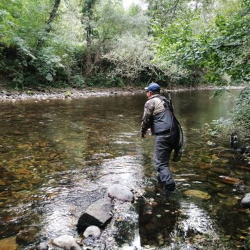 El PP denuncia la prohibición y las vedas del salmón y defiende a los ribereños