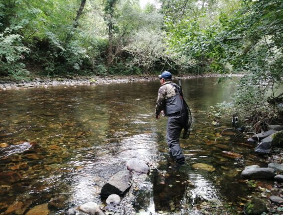 El PP denuncia la prohibición y las vedas del salmón y defiende a los ribereños