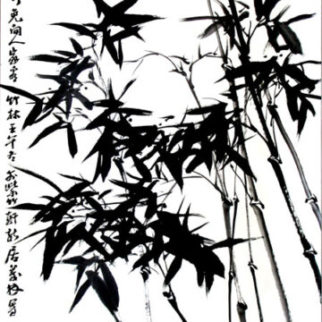 dibujo-cañas-tinta-china Teverga acoge un taller de arte de tinta china