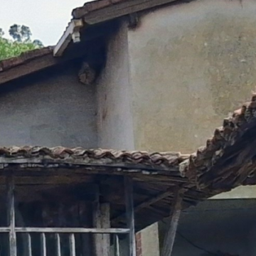 image Preocupación en Sandiche, Candamo, por un nido de velutina en el centro del pueblo