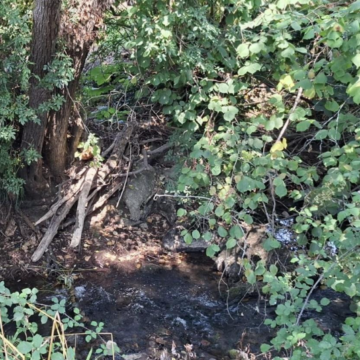 La Confederación Hidrográfica trabaja en la mejora del río Menéndez en Grau