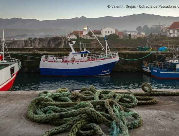 la-cofradia-de-pescadores-santa-ana-premio-al-pueblo-ejemplar-de-asturias La comarca vuelve a esperar por el Pueblo Ejemplar