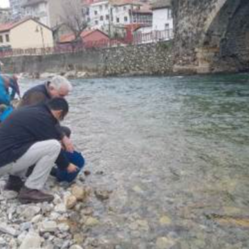 La Fundación EDP y jóvenes del Centro de Apoyo a la Integración Penles sueltan hoy 13.000 alevines de trucha en el Narcea